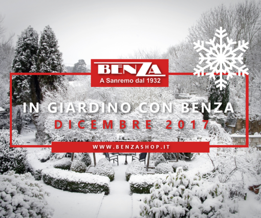 “In giardino con Benza”: i consigli dell'agronomo Enrico Leva per il mese di Dicembre