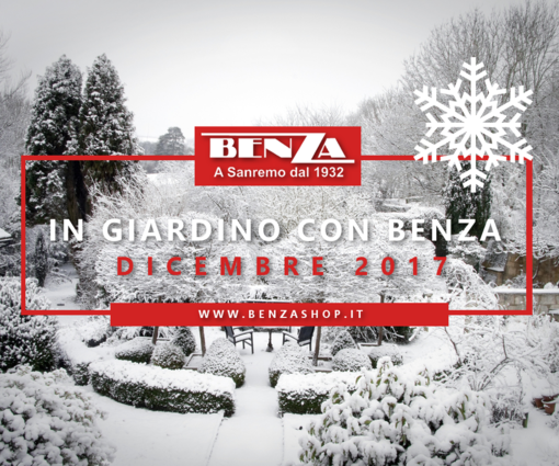 “In giardino con Benza”: i consigli dell'agronomo Enrico Leva per il mese di Dicembre “In giardino con Benza”: i consigli dell'agronomo Enrico Leva per il mese di Dicembre