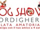 Bordighera: il Ponente Film Festival si chiude oggi con un 'Dog Show'