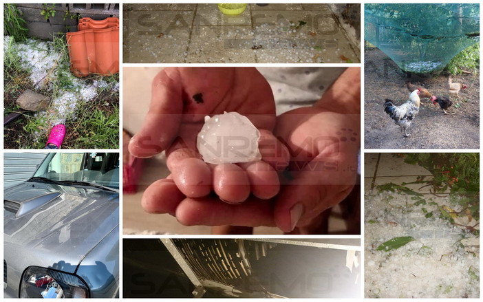 Temporale notturno in provincia: pioggia e grandine provocano gravi danni a Ceriana e Ventimiglia, 30 mm a Castelvittorio (Foto e Video) Temporale notturno in provincia: pioggia e grandine provocano gravi danni a Ceriana e Ventimiglia, 30 mm a Castelvittorio (Foto e Video)