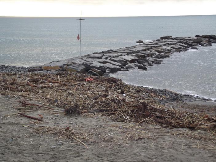 Bordighera: i concessionari delle spiagge potranno rimuovere il materiale legnoso dall'arenile