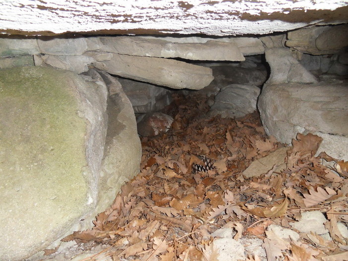 Sanremo: a Monte Bignone scoperta una tomba preistorica (dolmen) e una sepoltura che rimanda al popolo dei liguri Sanremo: a Monte Bignone scoperta una tomba preistorica (dolmen) e una sepoltura che rimanda al popolo dei liguri