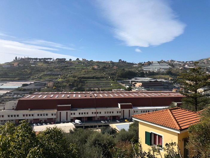 Sanremo: palestra del mercato dei fiori invasa da ragazzini in vacanza forzata, la viva protesta di una pallavolista Sanremo: palestra del mercato dei fiori invasa da ragazzini in vacanza forzata, la viva protesta di una pallavolista