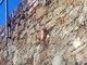 Sanremo: situazione di degrado in strada Sen. Marsaglia ma qualcuno ha tagliato una pianta di 30 anni (Foto) Sanremo: situazione di degrado in strada Sen. Marsaglia ma qualcuno ha tagliato una pianta di 30 anni (Foto)
