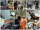 Sanremo: al via questa mattina ad opera della Polizia Municipale la distruzione della merce contraffatta sequestrata (Foto e Video)