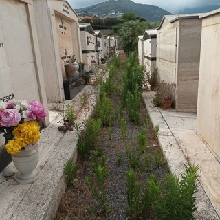 Sanremo, cimiteri comunali, M5S: "Servono attenzione e interventi di prevenzione sulla gestione dei servizi cimiteriali"