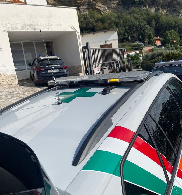 Vallecrosia: 34enne aggredita dal proprio Pitbull finisce in ospedale Vallecrosia: 34enne aggredita dal proprio Pitbull finisce in ospedale