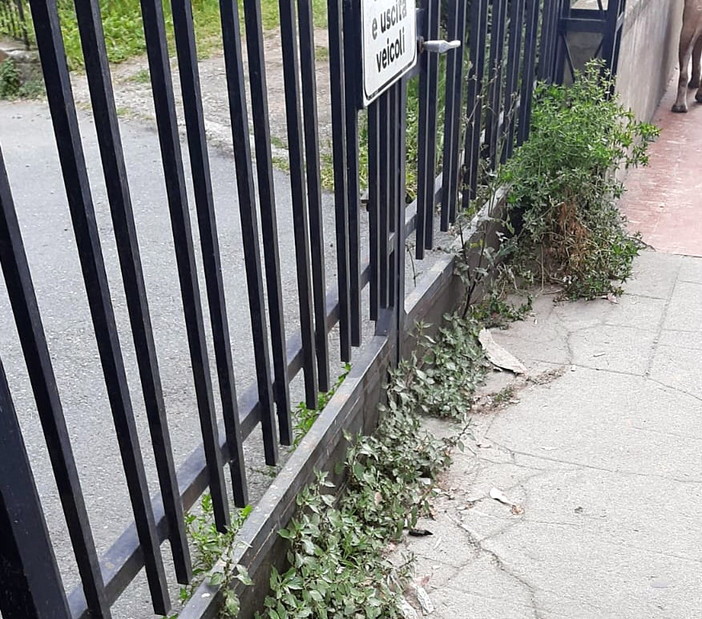 Sopralluogo di 'Imperia Rinasce' alle Ferriere "Troppa trascuratezza, serve più manutenzione"