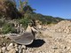 La discarica in regione Canei La discarica in regione Canei