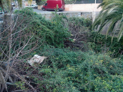 Sanremo: un nostro lettore "Ecco il degrado di via Padre Semeria, brutto biglietto da visita!" Sanremo: un nostro lettore "Ecco il degrado di via Padre Semeria, brutto biglietto da visita!"