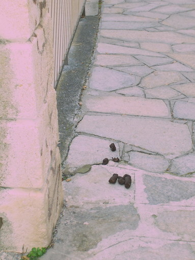 Imperia: un nostro lettore interviene sulla situazione della 'Passeggiata degli Innamorati' Imperia: un nostro lettore interviene sulla situazione della 'Passeggiata degli Innamorati'