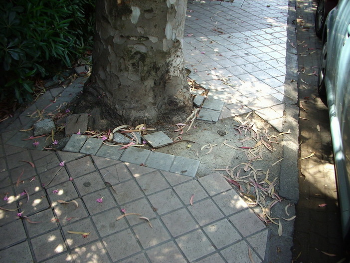 Ventimiglia: segnalazione di degrado da parte di Sergio Scibilia (PD)