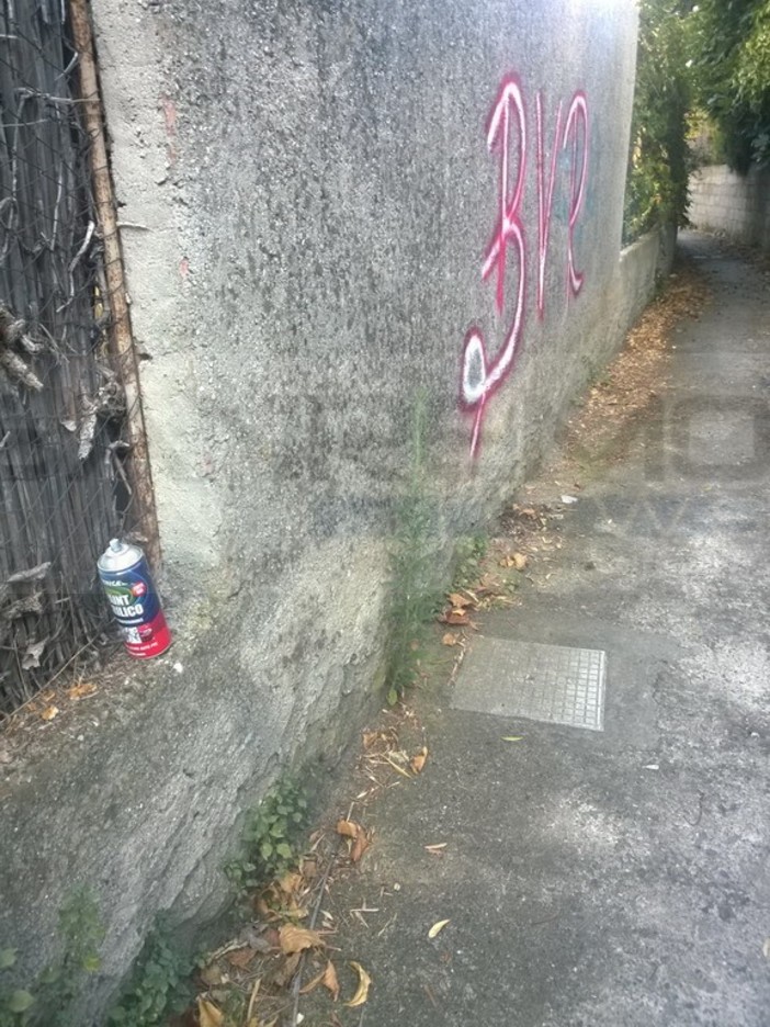 Bordighera: lettera di protesta alla Polizia Municipale per il degrado di via del Confine, le foto della lettrice