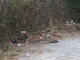 Sanremo: degrado e sporcizia in una stradina del Tinasso, i residenti chiedono al Comune un intervento