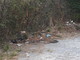Sanremo: degrado e sporcizia in una stradina del Tinasso, i residenti chiedono al Comune un intervento Sanremo: degrado e sporcizia in una stradina del Tinasso, i residenti chiedono al Comune un intervento