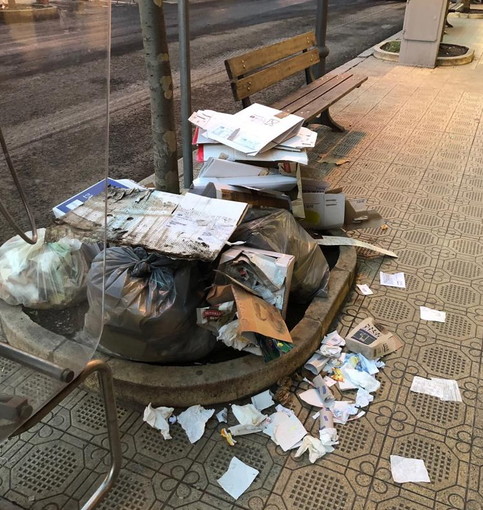 Sanremo: degrado in un'aiuola di corso Garibaldi, lo sfogo del nostro lettore Franco (Foto)