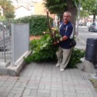 Roverino tra degrado e abbandono, cittadini costretti ad interventi 'fai da te', la denuncia del Comitato di Quartiere