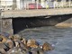 I danni al ponte sullo scolmatore (foto Tonino Bonomo) I danni al ponte sullo scolmatore (foto Tonino Bonomo)
