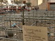 Sanremo: degrado nella zona di piazza San Siro, le foto e le lamentele di alcuni commercianti Sanremo: degrado nella zona di piazza San Siro, le foto e le lamentele di alcuni commercianti