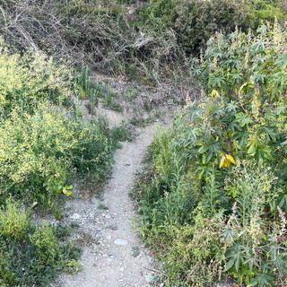 Imperia: degrado e criticità in zona Collarina, Imperia Rinasce "Il mare erode la pista ciclabile " (Foto) Imperia: degrado e criticità in zona Collarina, Imperia Rinasce "Il mare erode la pista ciclabile " (Foto)