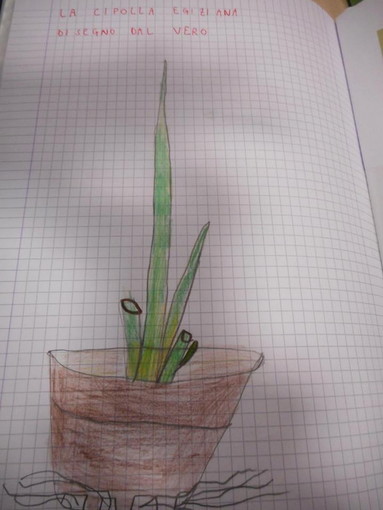 Sanremo: anche la Scuola Primaria 'Asquasciati' contribuisce alla tutela e alla diffusione della biodiversità