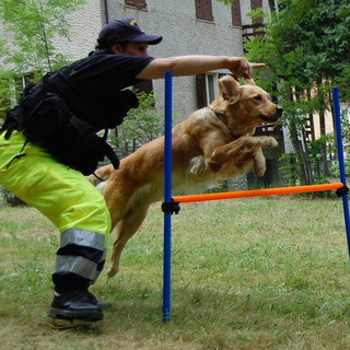 Domenica 1° luglio al Colle di Nava, dimostrazione cinofila del Nucleo di Protezione Civile