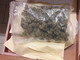 Imperia: 19enne arrestato per detenzione di droga, sequestrati oltre un chilo e mezzo di marijuana Imperia: 19enne arrestato per detenzione di droga, sequestrati oltre un chilo e mezzo di marijuana