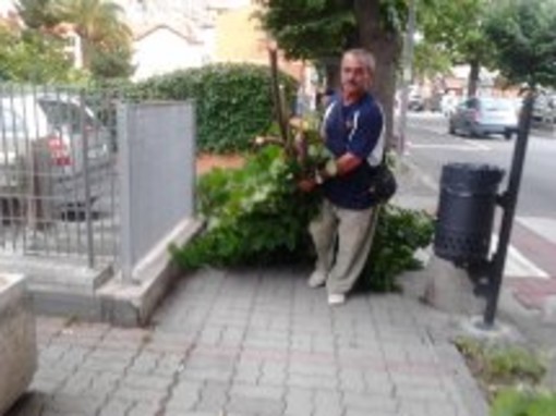 Roverino tra degrado e abbandono, cittadini costretti ad interventi 'fai da te', la denuncia del Comitato di Quartiere Roverino tra degrado e abbandono, cittadini costretti ad interventi 'fai da te', la denuncia del Comitato di Quartiere