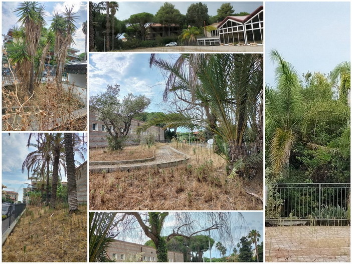 Bordighera: degrado e sporcizia al palazzetto dello sport di via Diaz, Interpellanza del Consigliere Stefano Sapino Bordighera: degrado e sporcizia al palazzetto dello sport di via Diaz, Interpellanza del Consigliere Stefano Sapino