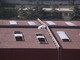 Sanremo: partono domattina i lavori di ripristino del tetto al Mercato dei Fiori, palestre chiuse fino a venerdì (Foto)
