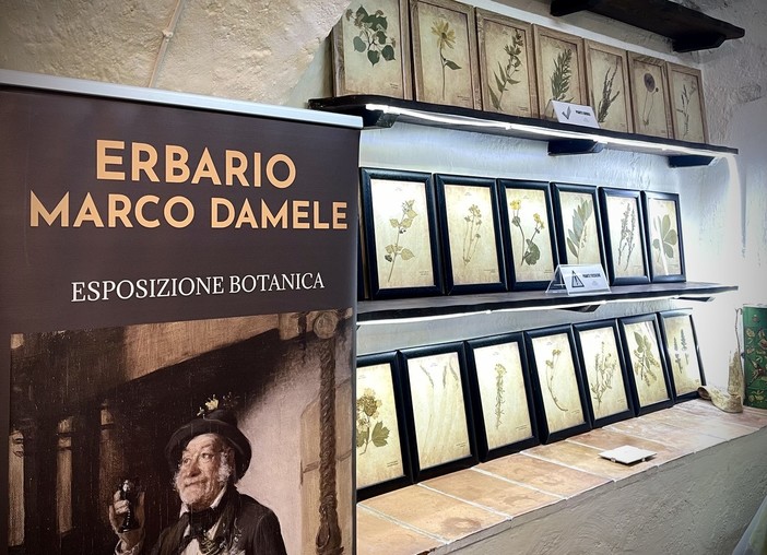 L'Erbario di Marco Damele: un patrimonio culturale di conoscenza sulla flora spontanea del Ponente Ligure L'Erbario di Marco Damele: un patrimonio culturale di conoscenza sulla flora spontanea del Ponente Ligure