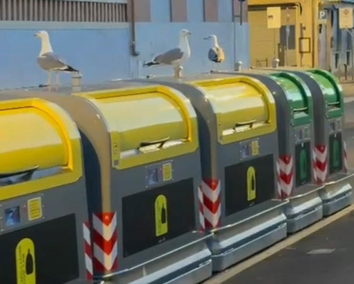Ecoisole a Sanremo, la lettera: "Perché abbandonare un porta a porta che funzionava?" Ecoisole a Sanremo, la lettera: "Perché abbandonare un porta a porta che funzionava?"