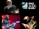 L'Ellade Bandini Trio ala rassegna 'Unojazz&amp;Blues 2021' in piazza Borea d'Olmo a Sanremo