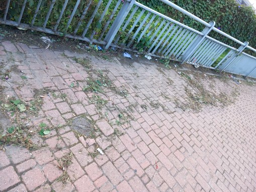 Ventimiglia: erba sfalciata in corso Genova e lasciata sul marciapiede, lettore "Un lavoro mal eseguito" (Foto) Ventimiglia: erba sfalciata in corso Genova e lasciata sul marciapiede, lettore "Un lavoro mal eseguito" (Foto)