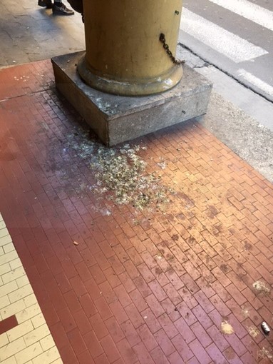 Imperia: escrementi di gabbiano e degrado in via della Repubblica, la segnalazione e le foto di un lettore Imperia: escrementi di gabbiano e degrado in via della Repubblica, la segnalazione e le foto di un lettore