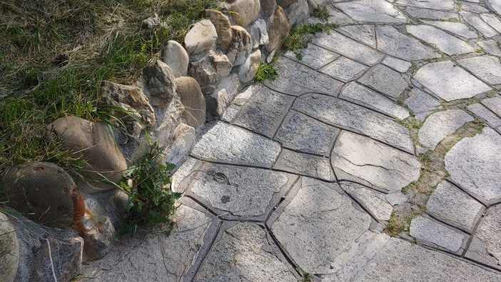 Ospedaletti: troppe erbacce su strade e marciapiedi, molti residenti chiedono un intervento di sfalcio (Foto)