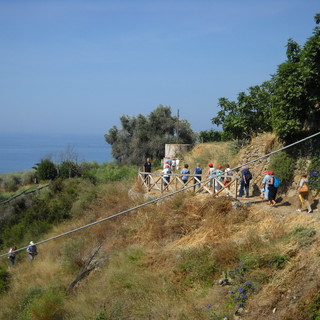 Ventimiglia: smottamenti di terreno e cedimento della strada, chiusa al passaggio pedonale sulla via Julia Augusta Ventimiglia: smottamenti di terreno e cedimento della strada, chiusa al passaggio pedonale sulla via Julia Augusta