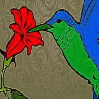 Imperia: oggi, 1a mostra-scambio ornitologica Città di Imperia ‘Eppipi & Pipena’ Imperia: oggi, 1a mostra-scambio ornitologica Città di Imperia ‘Eppipi & Pipena’