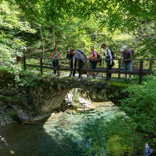 Ventimiglia: ottimo successo di partecipanti nelle ultime due escursioni organizzate dal Museo Archeologico