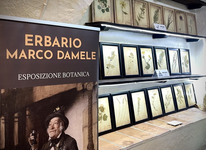 Marco Damele: “Riscoprire gli erbari: custodi del territorio e della nostra identità culturale”