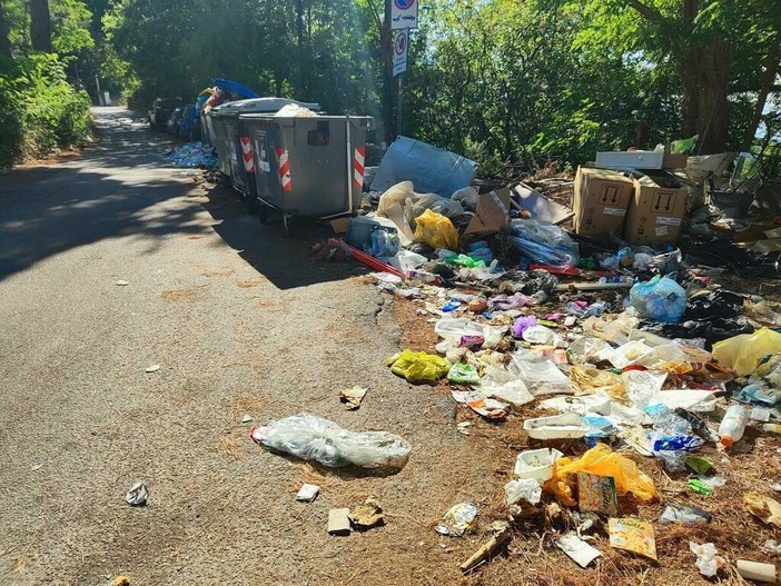 Ecomafia 2026, Imperia maglia nera in Liguria per i sequestri: 451 quelli effettuati nel 2025 Ecomafia 2026, Imperia maglia nera in Liguria per i sequestri: 451 quelli effettuati nel 2025