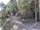 Dopo il consorzio 'Bignone' e l'avvicinamento a Bordighera, Sanremo si unisce anche a Taggia per il turismo dell'outdoor