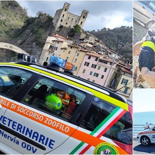 Raccolta fondi per aiutare i genitori del bimbo ferito a Ventimiglia, donati 10mila euro (Foto)