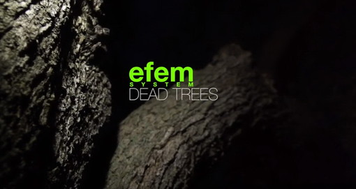 È on-line il nuovo videoclip “Dead trees” l’ultimo singolo della band imperiese Efem System