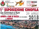 San Bartolomeo al Mare: domenica prossima in Piazza Torre Santa Maria appuntamento con l'esposizione canina