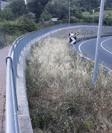 Sanremo: degrado ed erba alta e secca all'ingresso dell'Aurelia Bis al Borgo, la segnalazione di un lettore