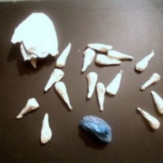 Sanremo: la Polizia ha arrestato il pusher che ha spacciato la droga 'killer' negli ultimi giorni