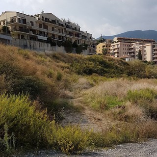 Sanremo: erbacce e sterpaglie vicino alle case in edilizia convenzionata di via Cotta, le proteste dei residenti (Foto)