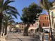 Arma di Taggia: eucaliptus centenario a rischio crollo, la perizia "Doveva essere abbattuto 10 anni fa" Arma di Taggia: eucaliptus centenario a rischio crollo, la perizia "Doveva essere abbattuto 10 anni fa"
