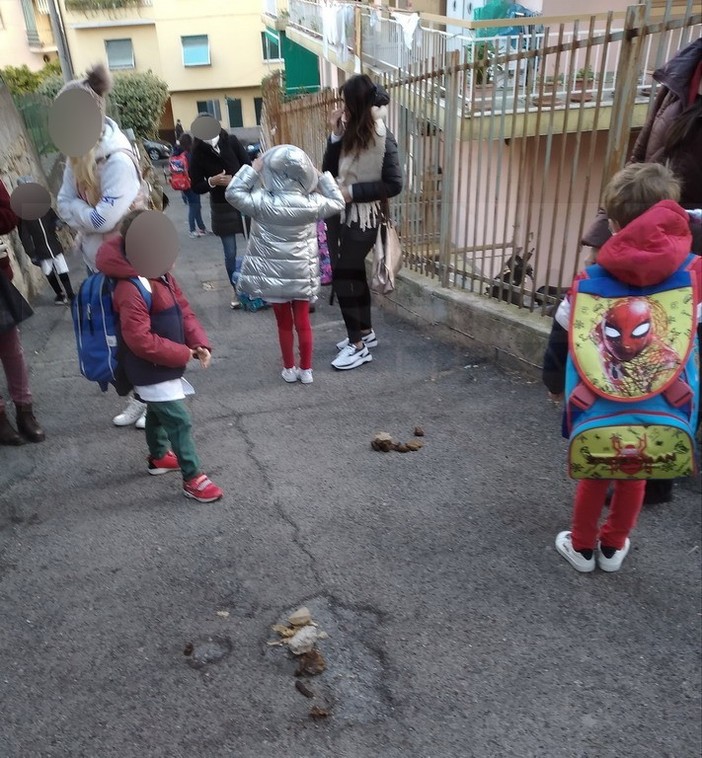 Sanremo: 'slalom' tra gli escrementi lasciati la sera, ogni mattina per gli alunni della scuola 'Castillo' (Foto) Sanremo: 'slalom' tra gli escrementi lasciati la sera, ogni mattina per gli alunni della scuola 'Castillo' (Foto)